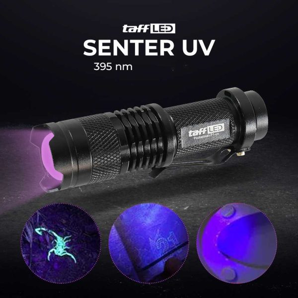 TaffLED Senter LED 395nm Ultraviolet + Baterai + Charger + Box Pocketman P1