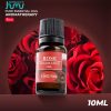 Taffware Pure Essential Fragrance Oils Aromatherapy Diff 10ml