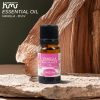 Taffware HUMI Essential Oil Aromatherapy Diffusers Vanilla 10ml - RH-15