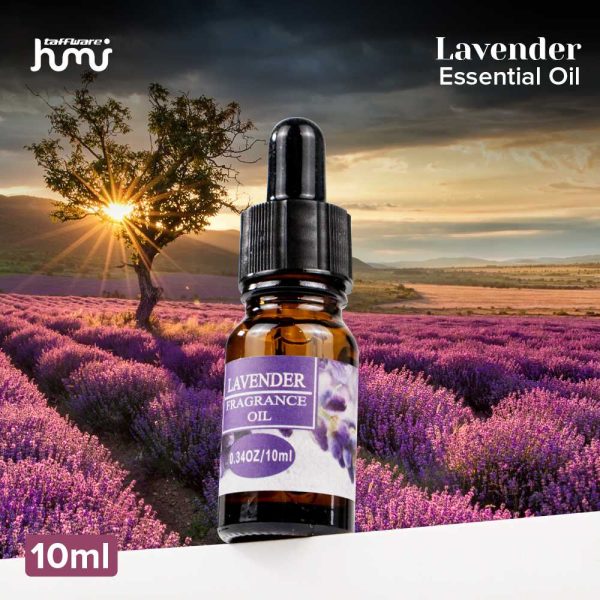 Taffware HUMI Essential Fragrance Oil Aromatherapy Lavender 10ml - RH-25