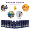 Taffware HUMI Pure Essential Oils Minyak Aromatherapy Eucalyptus 10ml - RH-11