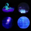 TaffLED Senter Ultraviolet 395nm 21 LED - UV-21
