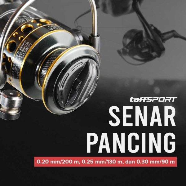 TaffSPORT Reel Pancing Spinning Fishing 5.2:1 BB 13 - BK2000