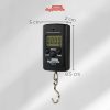 Taffware Digipounds Timbangan Koper Digital 40kg 10g - OCS-3