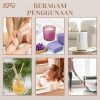 Taffware HUMI Essential Fragrance Oil Aromatherapy Sandalwood 10ml - RH-25