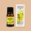 Taffware HUMI Essential Oil Aromatherapy Diffusers Osmanthus 10ml - RH-15