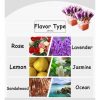 Taffware HUMI Essential Oils Minyak Aromatherapy Diffusers 3ml Mixing