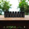 Taffware HUMI Minyak Aromatherapy 8 in 1 Essential Fragrance Oil 10ml