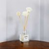 Taffware HUMI Parfum Ruangan Aroma Diffuser Rattan Stick 50ml - DF-100