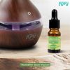 Taffware HUMI Essential Fragrance Oil Aromatherapy Green Tea 10ml - RH-25