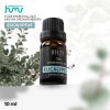Taffware HUMI Pure Essential Oils Minyak Aromatherapy Eucalyptus 10ml - RH-11