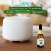 Taffware HUMI Water Soluble Essential Oils Minyak Aromatherapy Peppermint-TSLM2