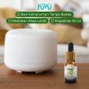 Taffware HUMI Water Soluble Essential Oils Aromatherapy Apple- TSLM2
