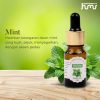 Taffware HUMI Water Soluble Essential Oils Minyak Aromatherapy Peppermint-TSLM2
