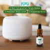 taffware-humi-rhjy-essential-oils-fragrance-minyak-aromatherapy-10ml-tslm2 (25) Taffware HUMI Water Soluble Essential Oils Minyak Aromatherapy Jasmine - TSLM2
