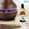 Taffware HUMI Water Soluble Essential Oils Minyak Aromatherapy Peppermint-TSLM2