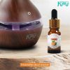 Taffware HUMI Water Soluble Essential Oils Minyak Aromatherapy Orange-TSLM2