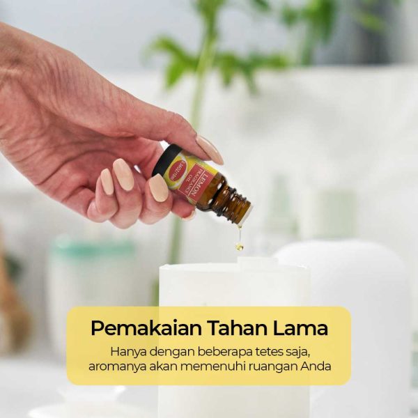 Taffware HUMI Pure Essential Oils Minyak Aromatherapy Eucalyptus 10ml - RH-11