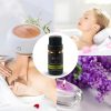 Taffware HUMI Pure Essential Oils Minyak Aromatherapy Lemon Grass 10ml - RH-11