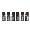 Taffware HUMI Set Essential Oils Minyak Aromatherapy 10ml 6PCS - RH-06