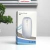 Taffware Mouse Wireless Bluetooth Optical 2.4GHz Silent Click 1600DPI - DC001