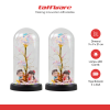 TaffHOME Lampu Meja Hias LED Mawar Beauty & The Beast Bubble Colorful - RG-016