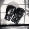 TaffSPORT Sarung Tangan Tinju Muay Thai Boxing MMA Breathable - GP01