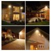 TaffLED Suide Chip LED COB Spotlight Warm White 3000K 220V 50W - F6040