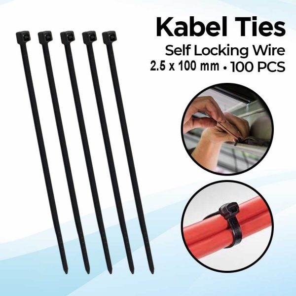 Taffware Kabel Ties Self Locking Wire Organizer 2.5x100mm 100 PCS - V94