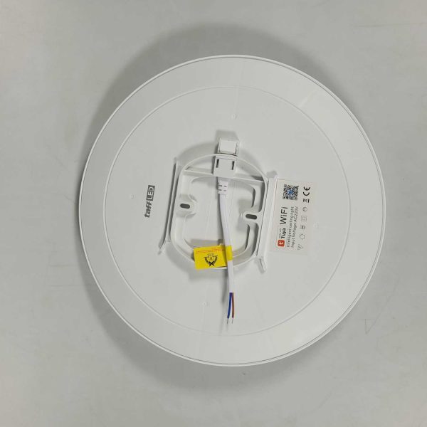 TaffLED Lampu Plafon Minimalis LED Smart Lamp RGBCW 220V 24W - SKCL