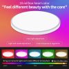 TaffLED Lampu Plafon Minimalis LED Smart Lamp RGBCW 220V 24W - SKCL