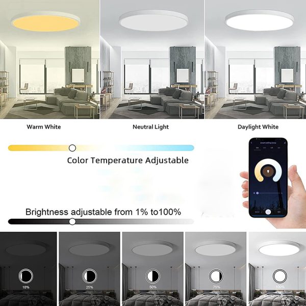TaffLED Lampu Plafon Minimalis LED Smart Lamp RGBCW 220V 24W - SKCL