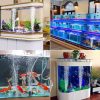 Taffware Aerator Aquarium USB Single Pump with Accesories 5V 1W - SL1P