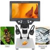 Taffware Mikroskop Digital 12MP 1200X Monitor 7 Inch Stand and LED - G1200