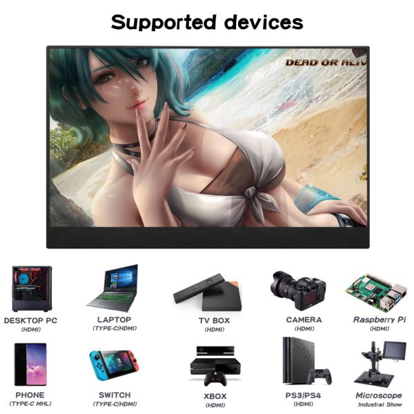 Taffware Portable Monitor 17.3 Inch Full HD 1080p IPS 60Hz HDMI - 1730XTS
