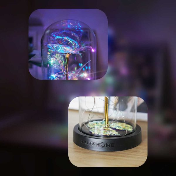 TaffHOME Lampu Meja Hias LED Mawar Galaksi Multicolor - SR142