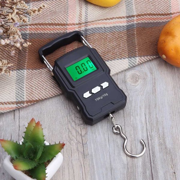 Taffware Digipounds Timbangan Koper Tas Digital Scale 75kg 0.01kg - WH-A27