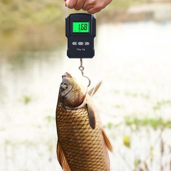 Taffware Digipounds Timbangan Koper Tas Digital Scale 75kg 0.01kg - WH-A27