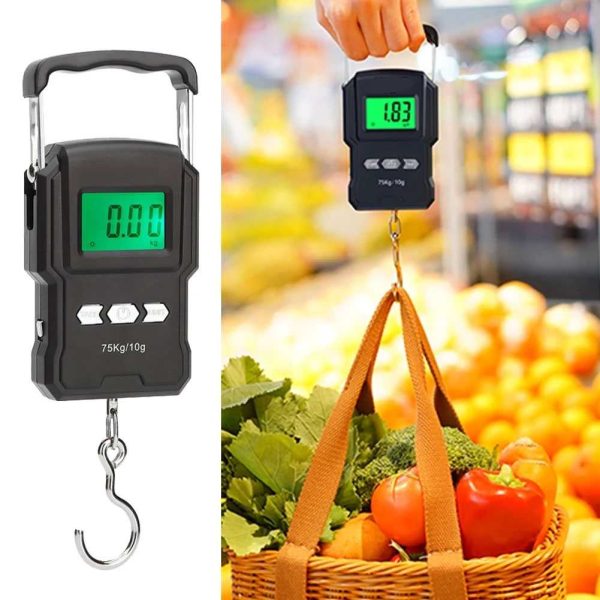 Taffware Digipounds Timbangan Koper Tas Digital Scale 75kg 0.01kg - WH-A27