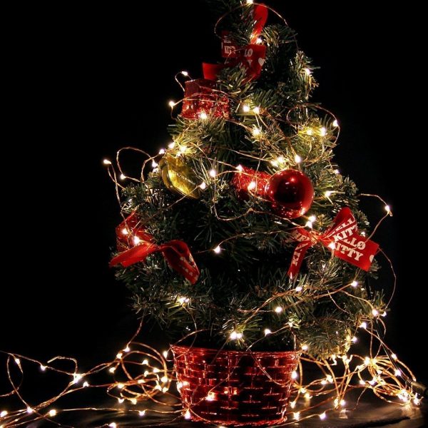 TaffLED Lampu Hias String Lights Waterproof USB Power 50 LED 5M - SZ