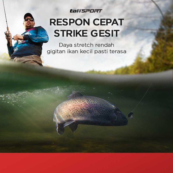 TaffSPORT Senar Tali Benang Pancing Braided Thick Line 300M - BLTP