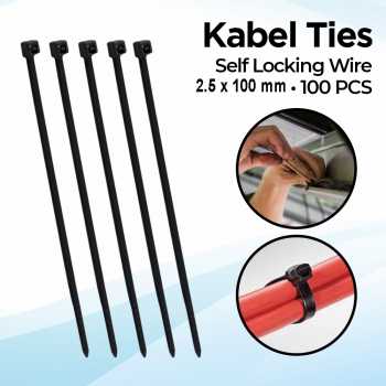 Taffware Kabel Ties Self Locking Wire Organizer 2.5x100mm 100 PCS - V94