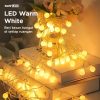 TaffLED Lampu Hias Sperical Light String Portable 20 LED 3M - ZYD0931