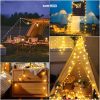 TaffLED Lampu Hias Sperical Light String Portable 20 LED 3M - ZYD0931