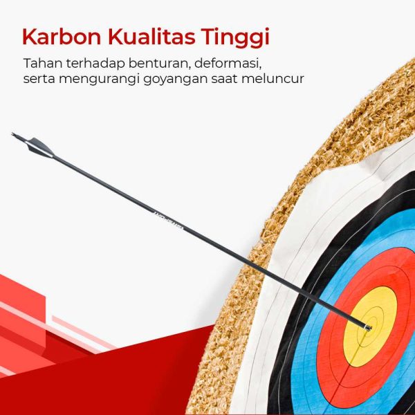 TaffSPORT Anak Panah Carbon Sport Equipment Spine 500 32.5 Inch 12 PCS - CE31