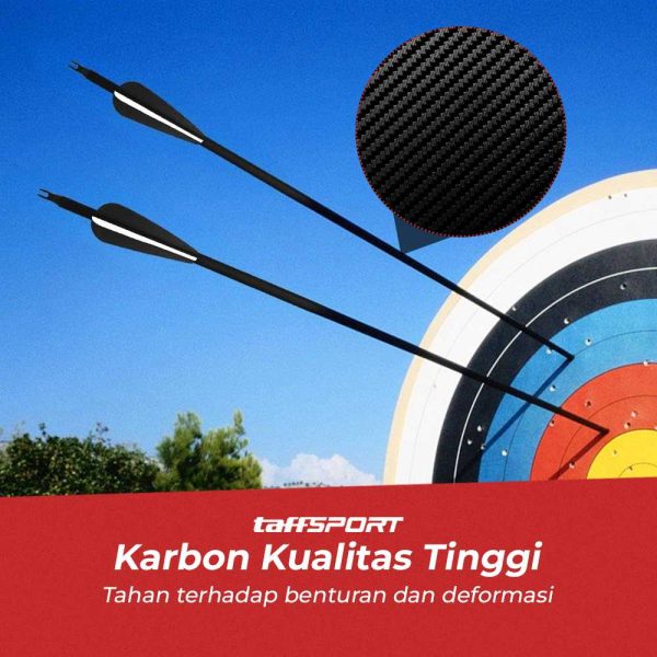 TaffSPORT Anak Panah Carbon Sport Equipment Spine 500 30 Inch 1 PCS