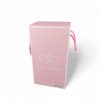 TaffHOME Bunga Mawar Lampu LED Dekorasi Galaxy Rose Kissing Kraft - MSFRG-A01