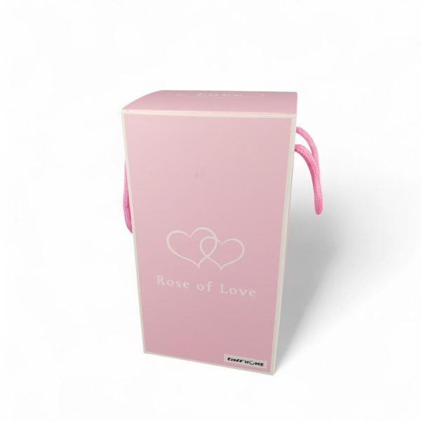 TaffHOME Bunga Mawar Lampu LED Dekorasi Galaxy Rose Kissing Kraft - MSFRG-A01