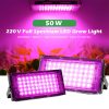 ginee_20251117182426637_9334596440.jpg TaffLED Grow Light LED Hidroponik Full Spectrum 2835 SMD 220V 50W - RO22