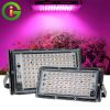 ginee_20251117182426826_8671388561.jpg TaffLED Grow Light LED Hidroponik Full Spectrum 2835 SMD 220V 50W - RO22